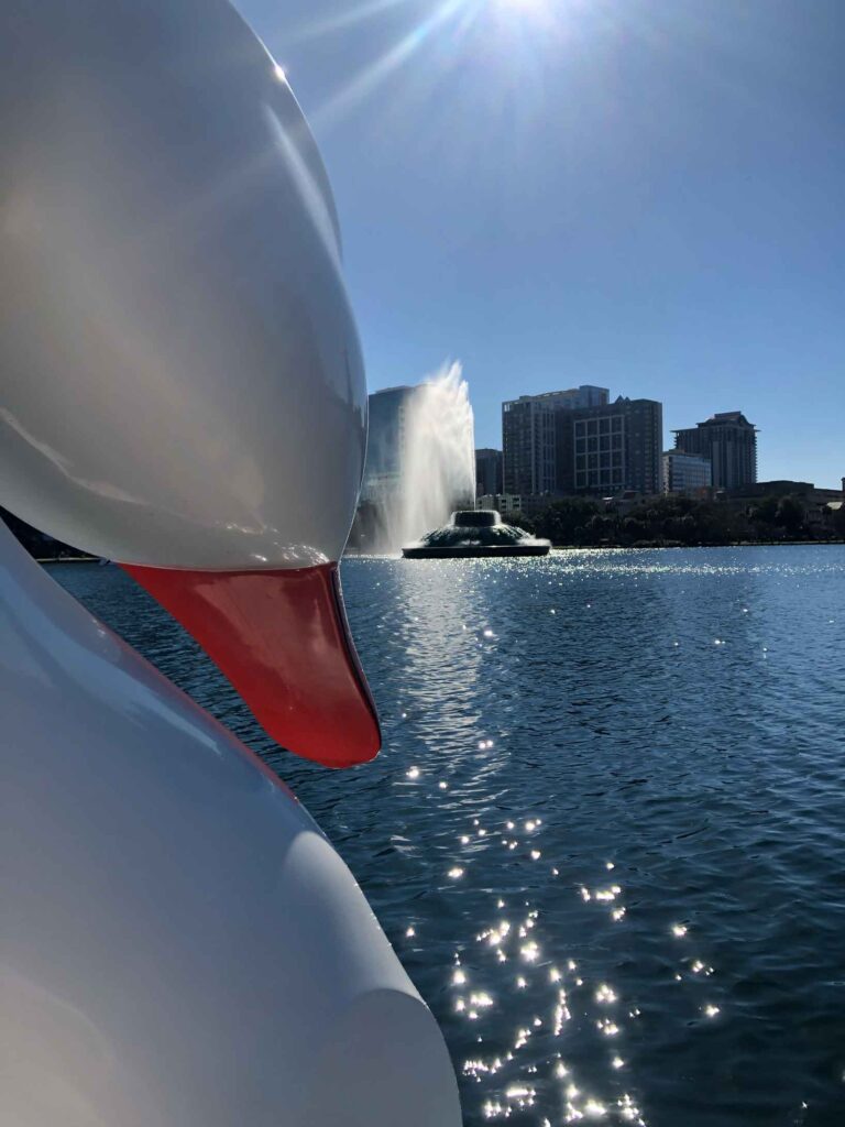 Lake Eola swan boat on the water