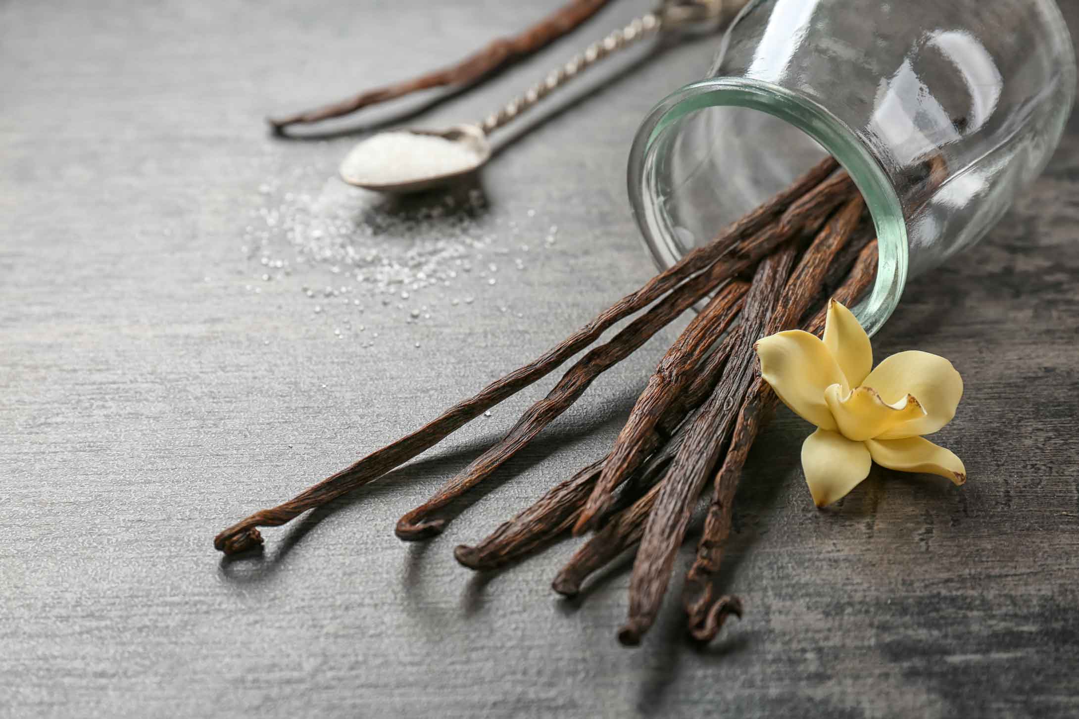vanilla beans in a jar on the counter