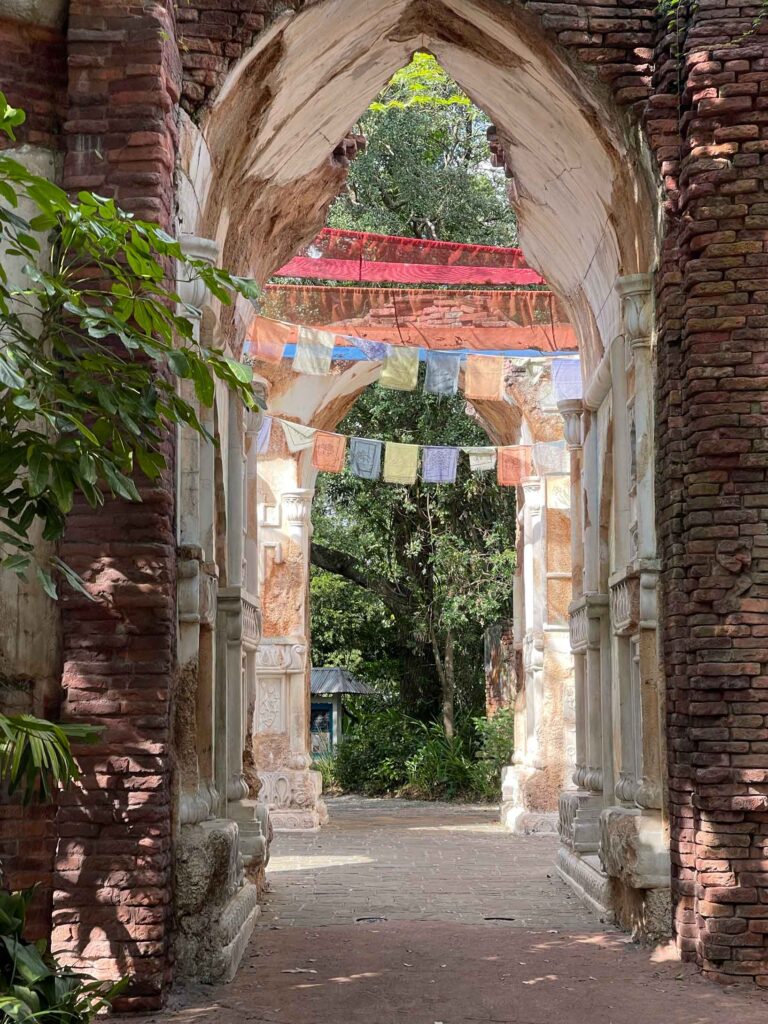 pathway in Animal Kingdom