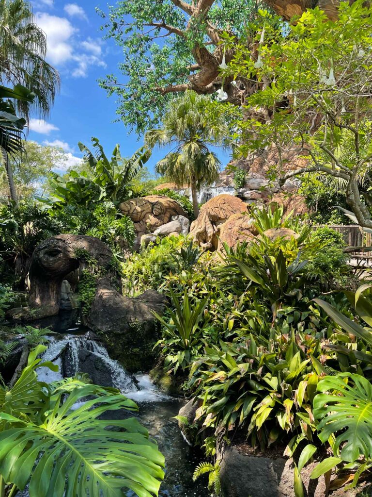 the garden at the base of the Tree of Life at Animal Kingdom