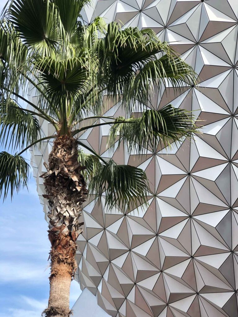 epcot ball with palm tree during the day