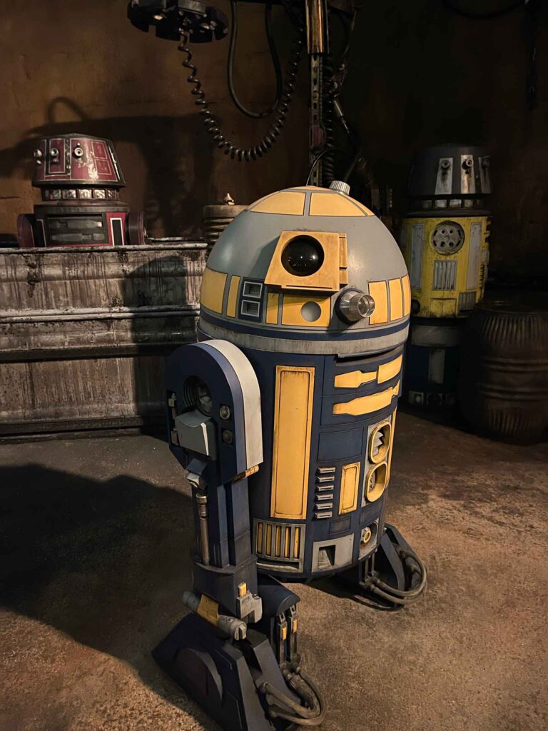 Droid in Galaxy Edge a Star Wars Character at Disney World