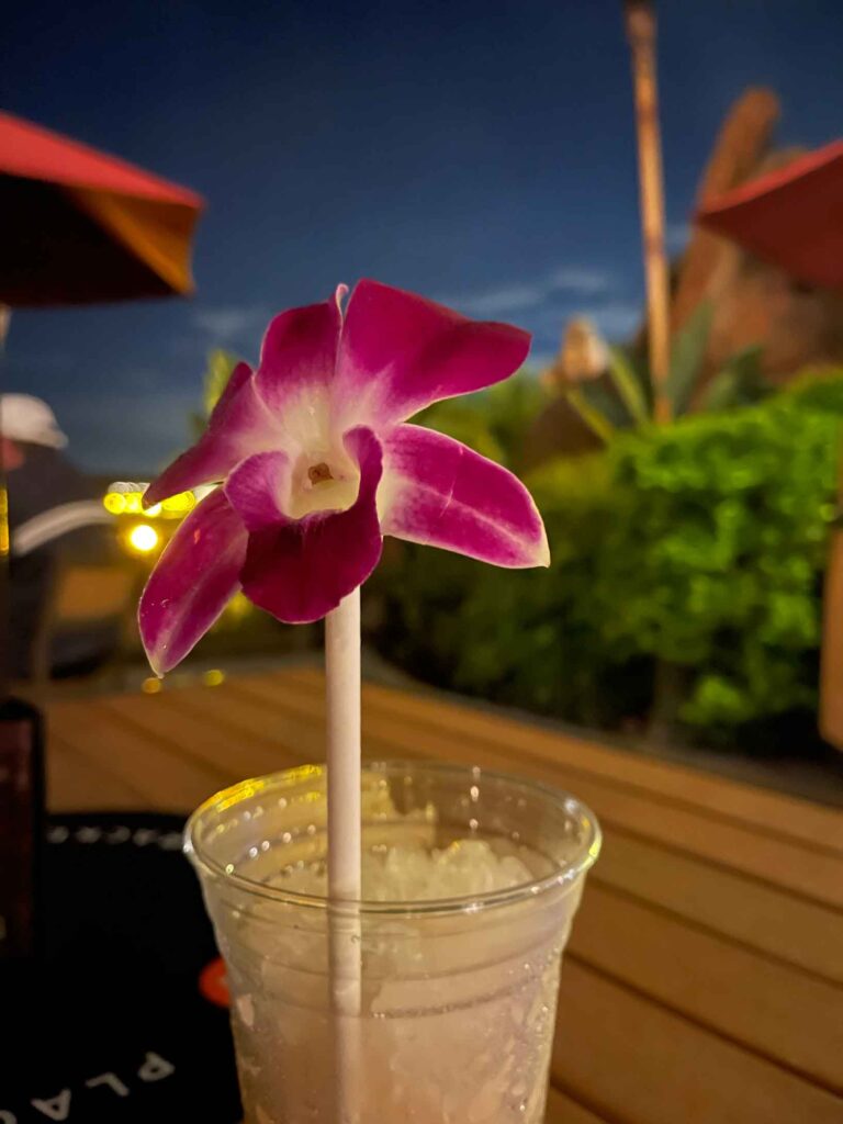 Tropical drink with a flower in it on the Trader Sam's Terrace at Disney World
